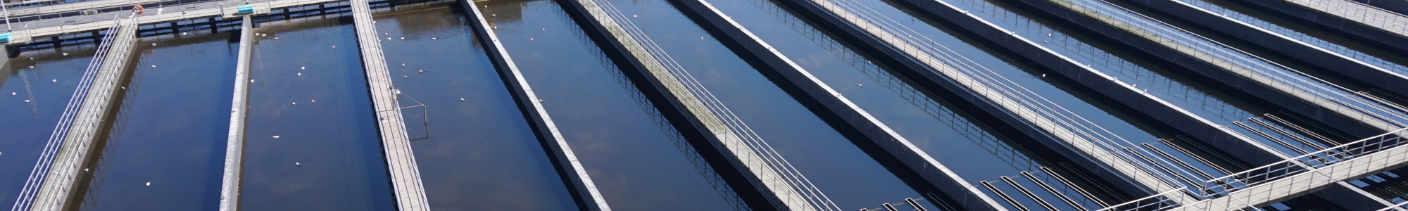 Lynetten